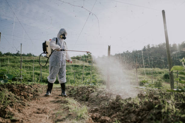 Best Local Pest Control Services  in Vinton, VA