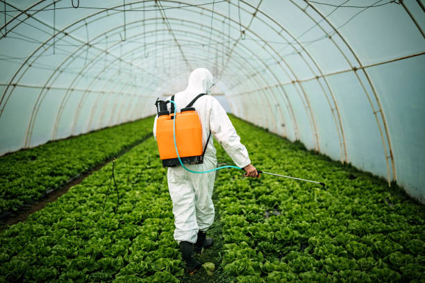Best Local Pest Control Services  in Vinton, VA