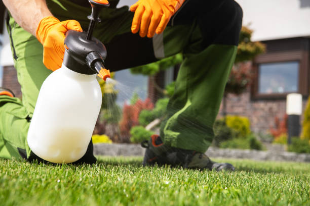 Best Pest Prevention Services  in Vinton, VA