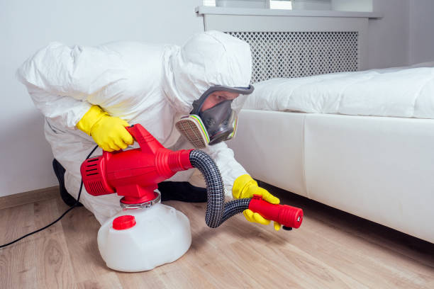 Best Flea Control Services  in Vinton, VA