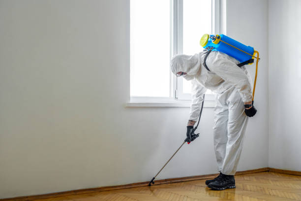 Best Best Pest Control Companies  in Vinton, VA