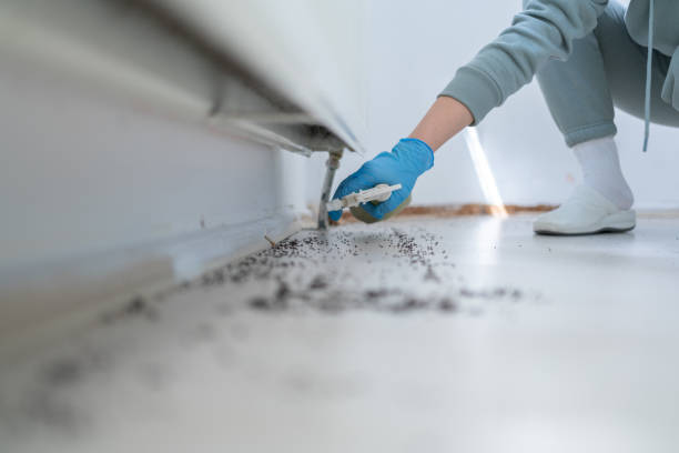 Best Best Pest Control Companies  in Vinton, VA