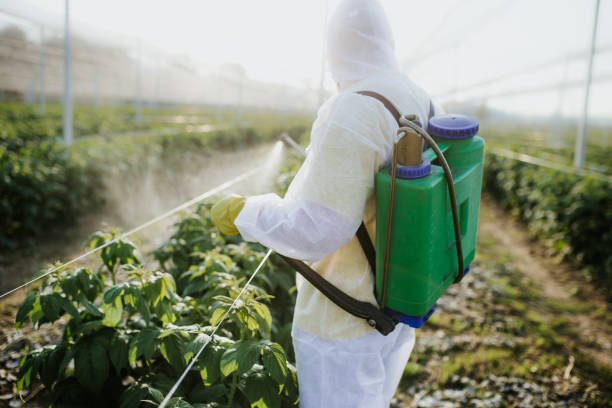 Best Flea Control Services  in Vinton, VA